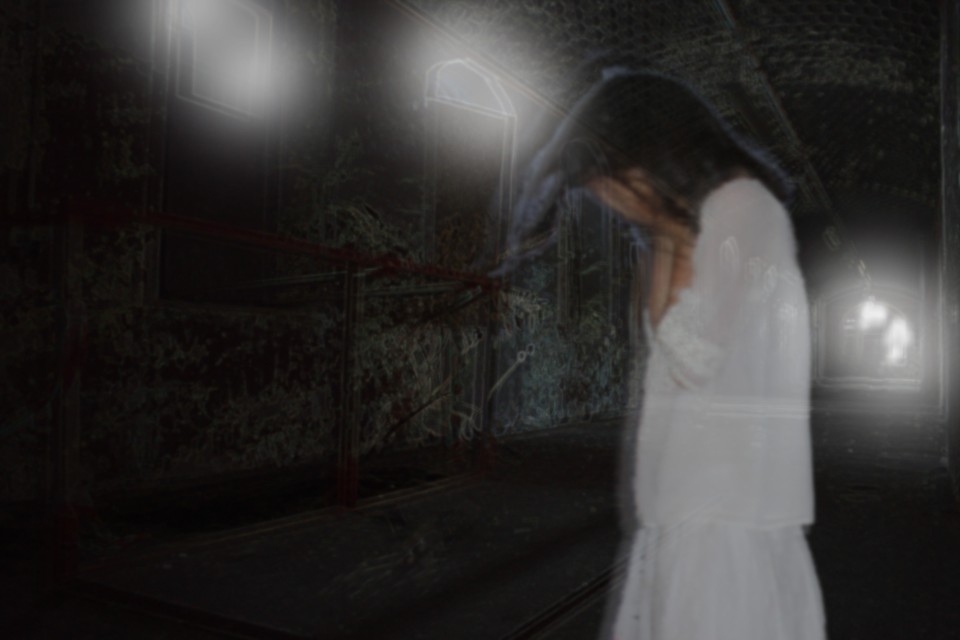 Image of Abandoned lunatic asylum (HauntedHouse)